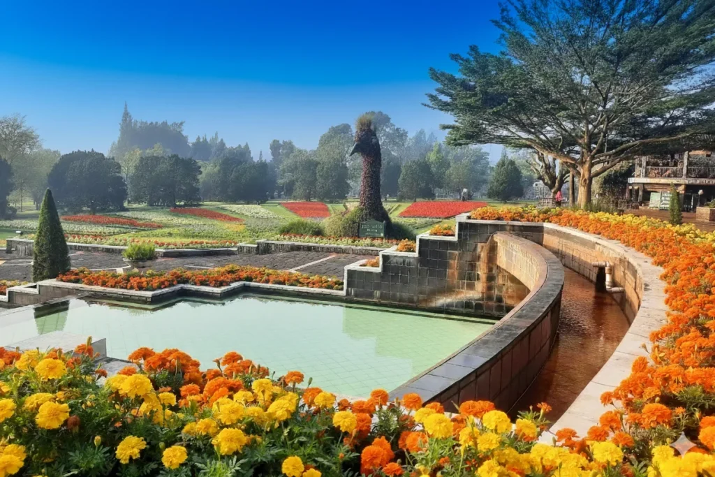 Review Destinasi Wisata Alam Terbaik Akhir Pekan Ini