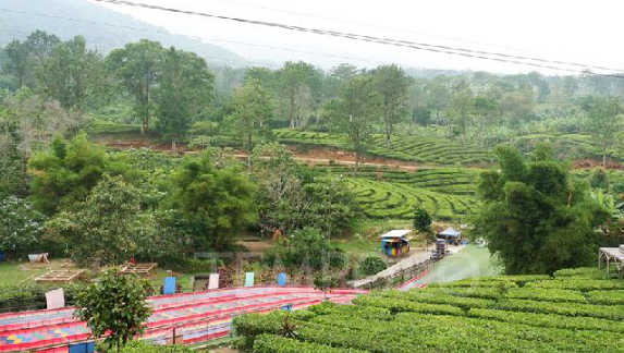 wisata-kuliner-dan-alam-favorit-di-puncak-bogor