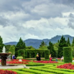 taman-cibubur-sebagai-ruang-hijau-favorit-keluarga