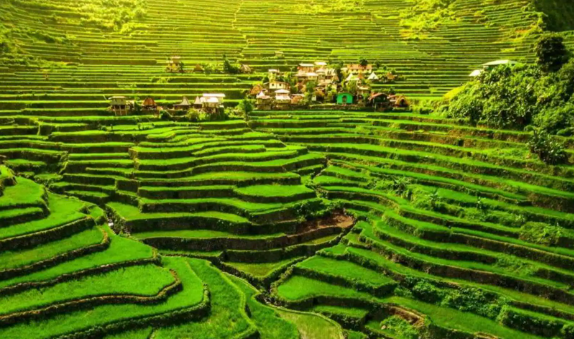 menjelajahi-teras-sawah-banaue-rice-terraces