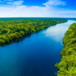 wisata-alam-hutan-amazon-surga-keanekaragaman-hayati