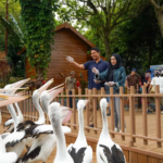 Jatim Park 3 Wisata Keluarga Seru Batu Mei 2026