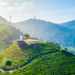 Wisata Bogor Favorit Dengan Suasana Alam Menenangkan