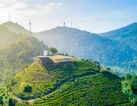 Wisata Bogor Favorit Dengan Suasana Alam Menenangkan